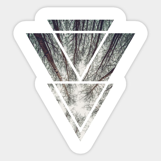 Sacred Geometry: Trees Sticker by Natural Selection